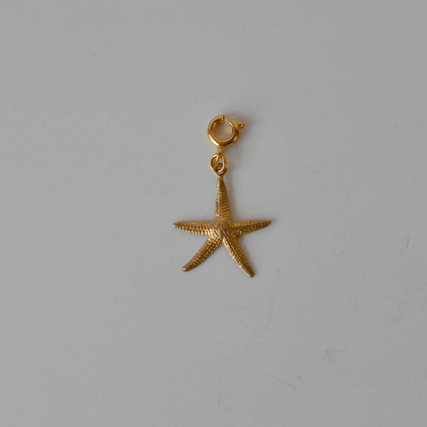 Medium Starfish • Halfable