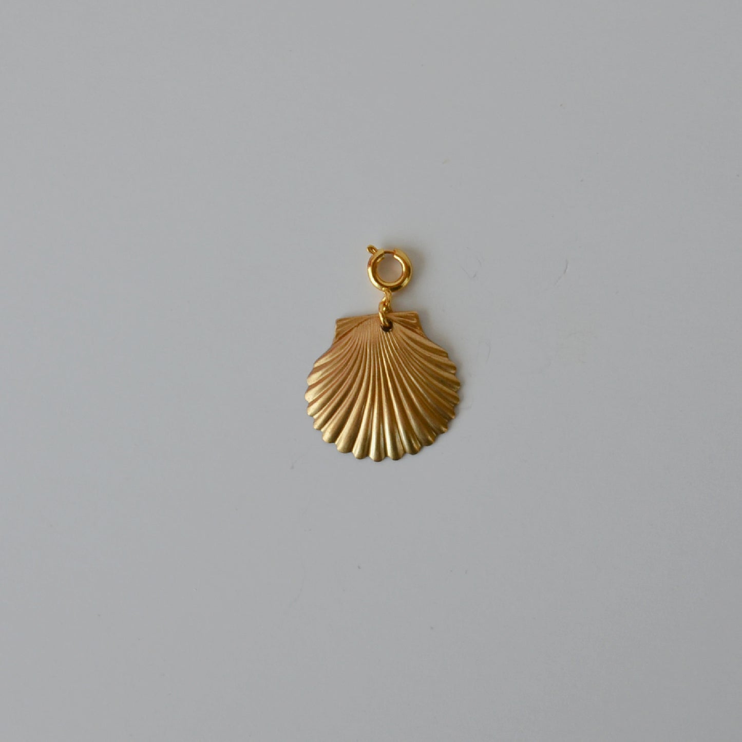 Medium Shell • Halfable